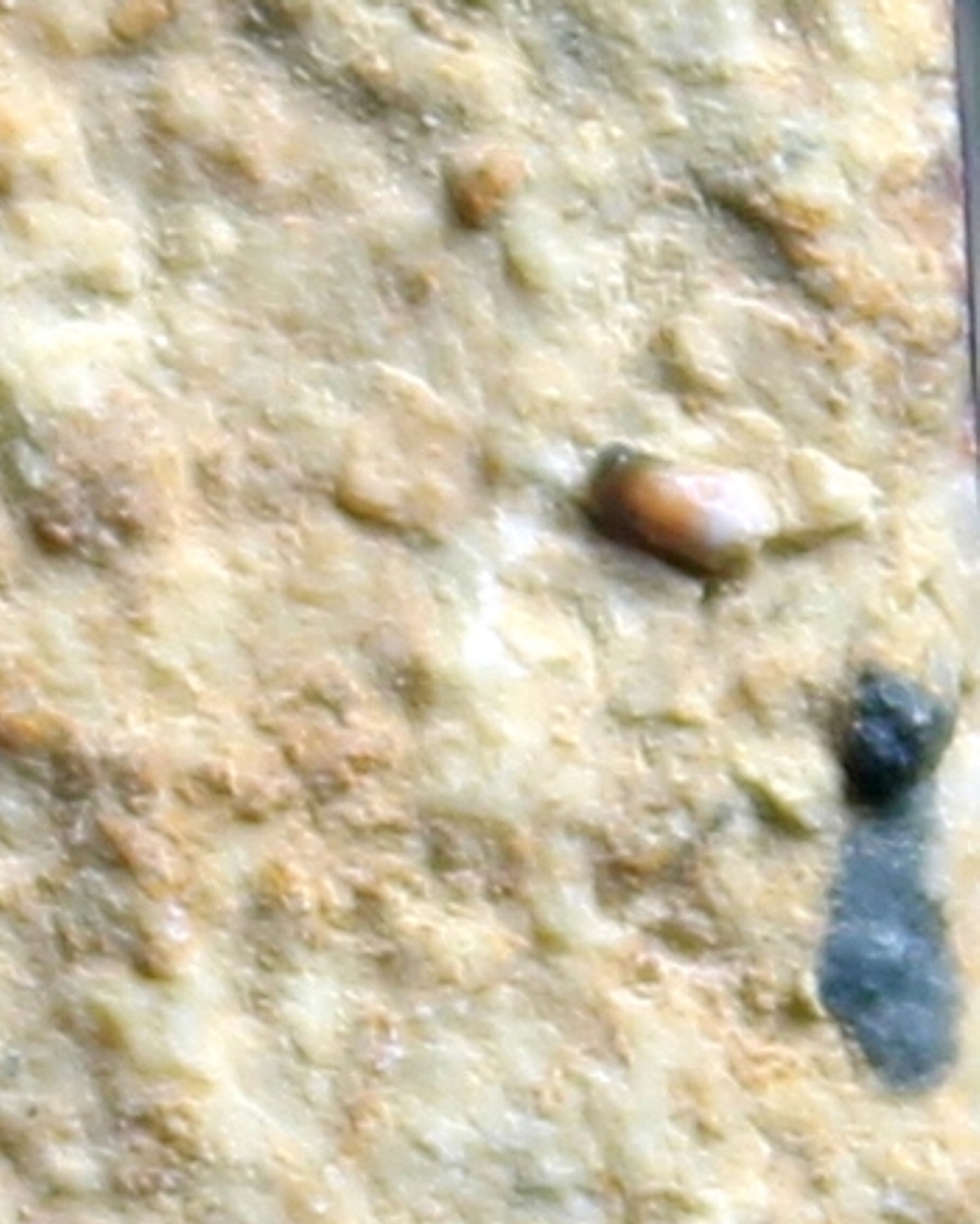 triassic reptile