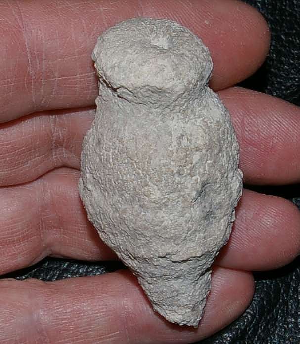 Fossil sponge