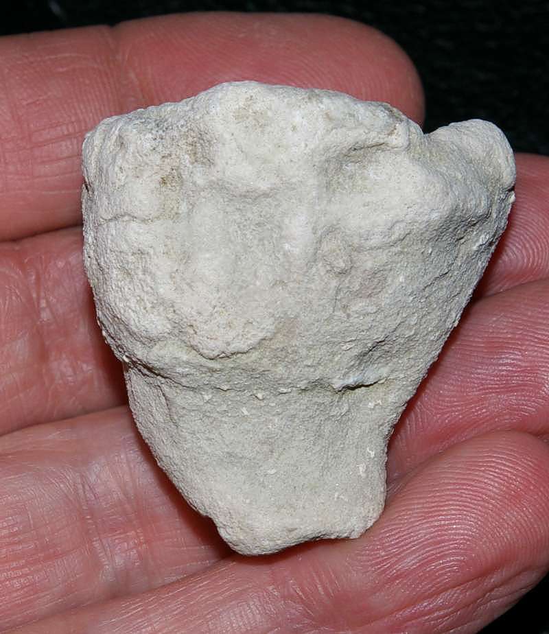 Aretotragos jaraczi