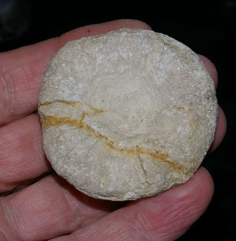 rare sponge 