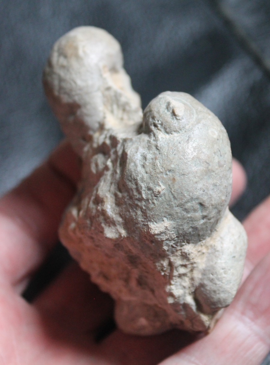 fossil cluster